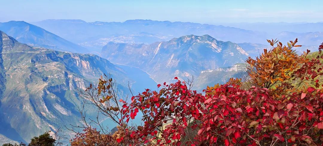 全国生态保护修复8个典型案例 巫山入选!